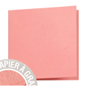 Paquet de 25 cartes pliées Grain de Pollen 135x135mm 210g/m2/ Pce