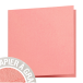 Paquet de 25 cartes pliées Grain de Pollen 135x135mm 210g/m2/ Pce