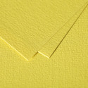 Paquet de 25 cartes double Grain de Pollen 210g/m2 110x155mm/ Pce
