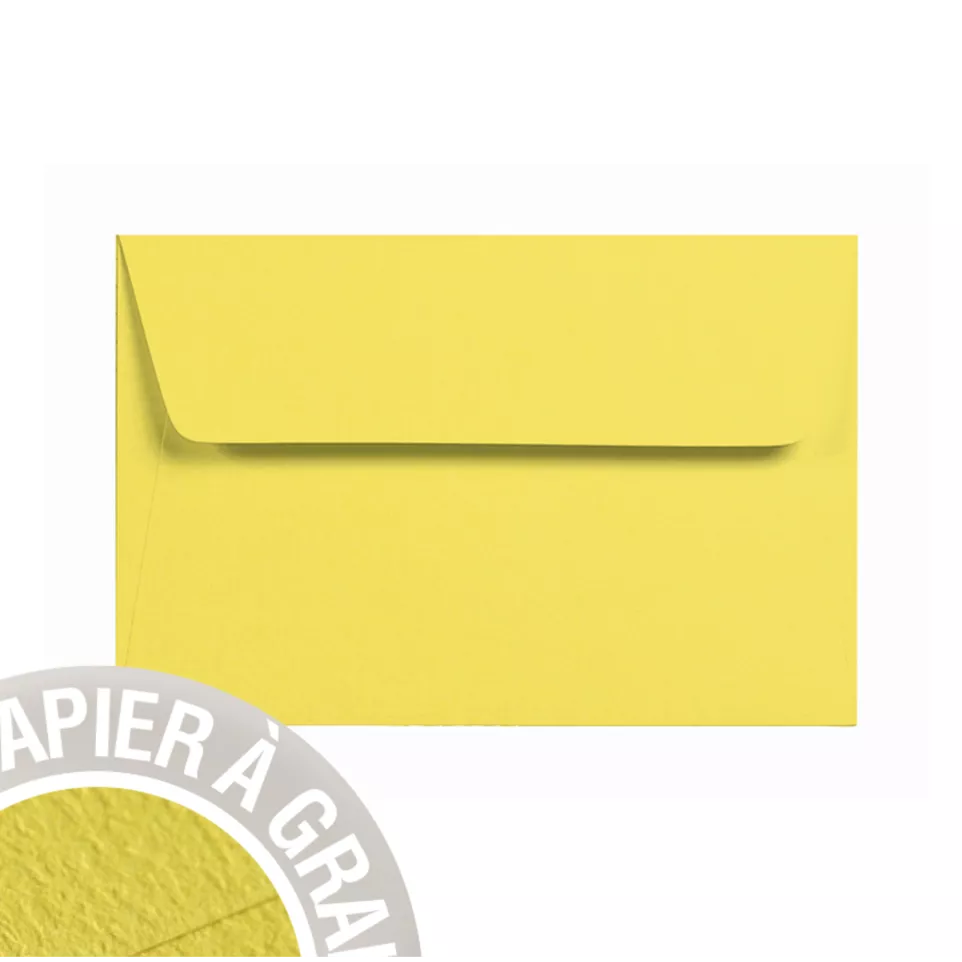 Paquet de 20 enveloppes Grain de...
