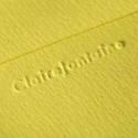 Paquet de 20 enveloppes Grain de Pollen 90x140mm 120g/m2/ Pce