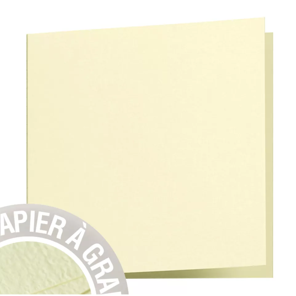 Paquet de 25 cartes double Grain de...