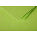 Pollen Card 135x135 Folded x25/ Pc.