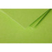 Pollen Card 135x135 Folded x25/ Pc.