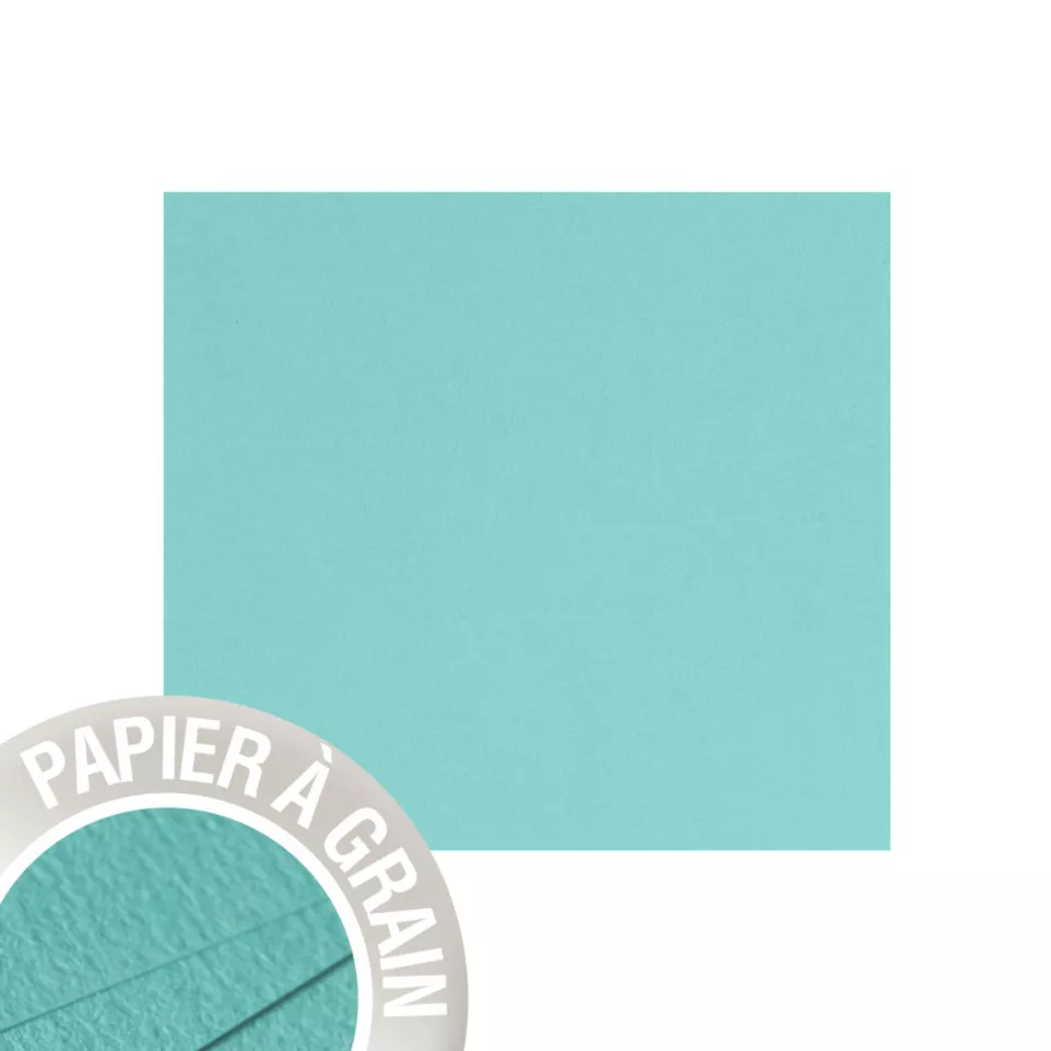 Paquet de 25 cartes simples Grain de...