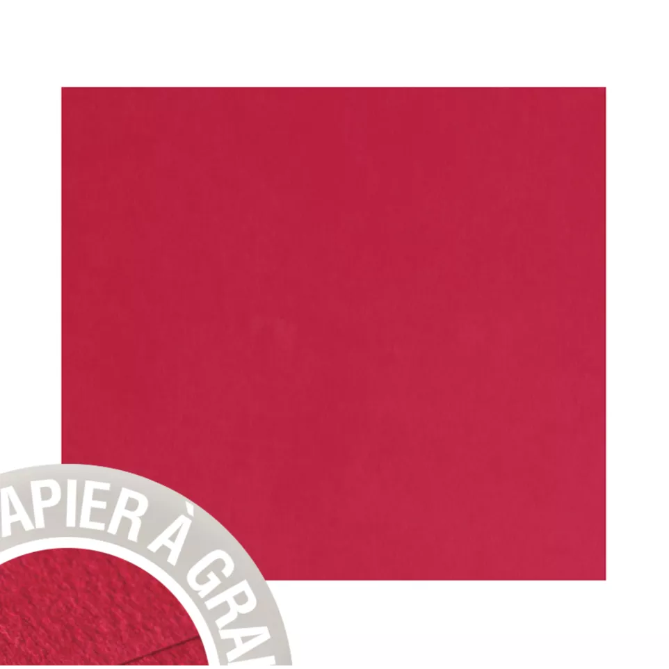 Paquet de 25 cartes simples Grain de...