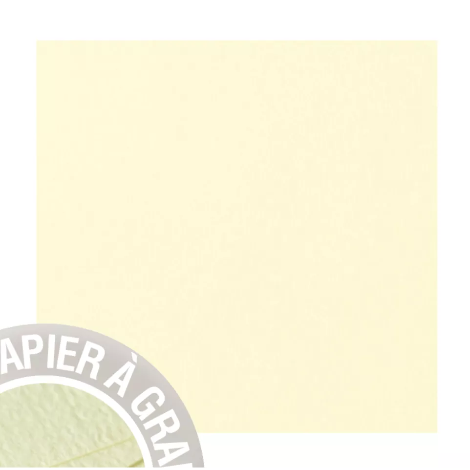 Paquet de 25 cartes simples Grain de...
