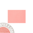 Paquet de 25 cartes simples Grain de Pollen 70x95mm 210g/m2/ Pce