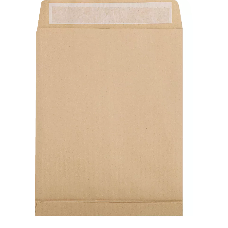 Boite de 250 Pochettes Kraft Brun...