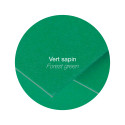 Pollen pk5 kaart 160-g148x210 dengroen/ St.