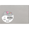 Pollen pk5 kaart 210g 82x128 zilver-/ St.