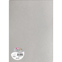 Paquet de 5 feuilles Pollen 210x297mm 120g/m2/ Pce