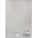 Pollen pk25 blad 210g210x297 zilver-/ St.