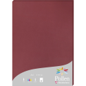 Pollen pk25 blad 210-g210x297 bordeaux/ St.