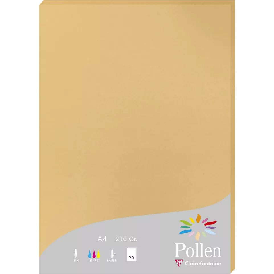 Etui de 25 feuilles Pollen 210x297...