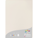 Pollen pk25 blad 210-g210x297 parelgrijs/ St.