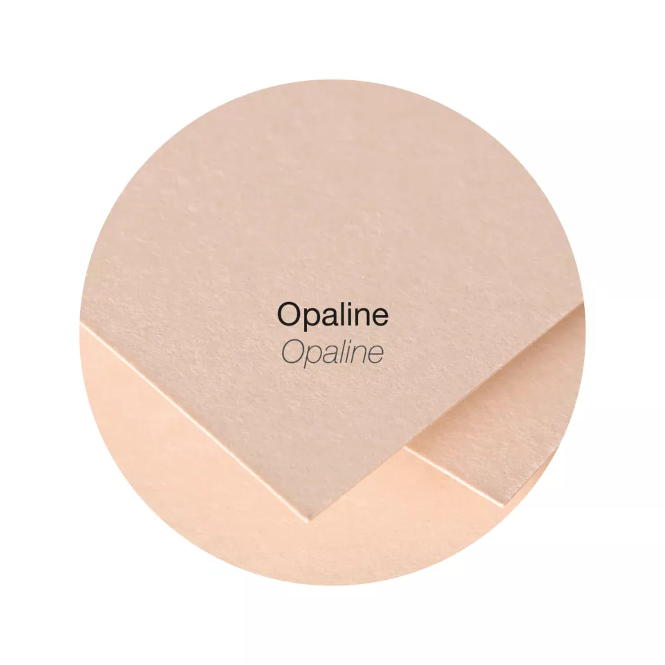Pollen 25bl papier A-4 210g opaline...