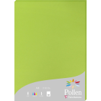 Pollen pk25 blad...