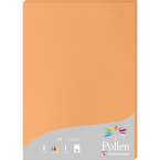 Pollen 210x297mm 210gsm...