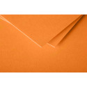 Paquet de 25 cartes pliées Pollen 135x135mm 210g/m2/ Pce