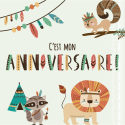 BIRTHDAY INVITATION SET, Indian-/ Pc.