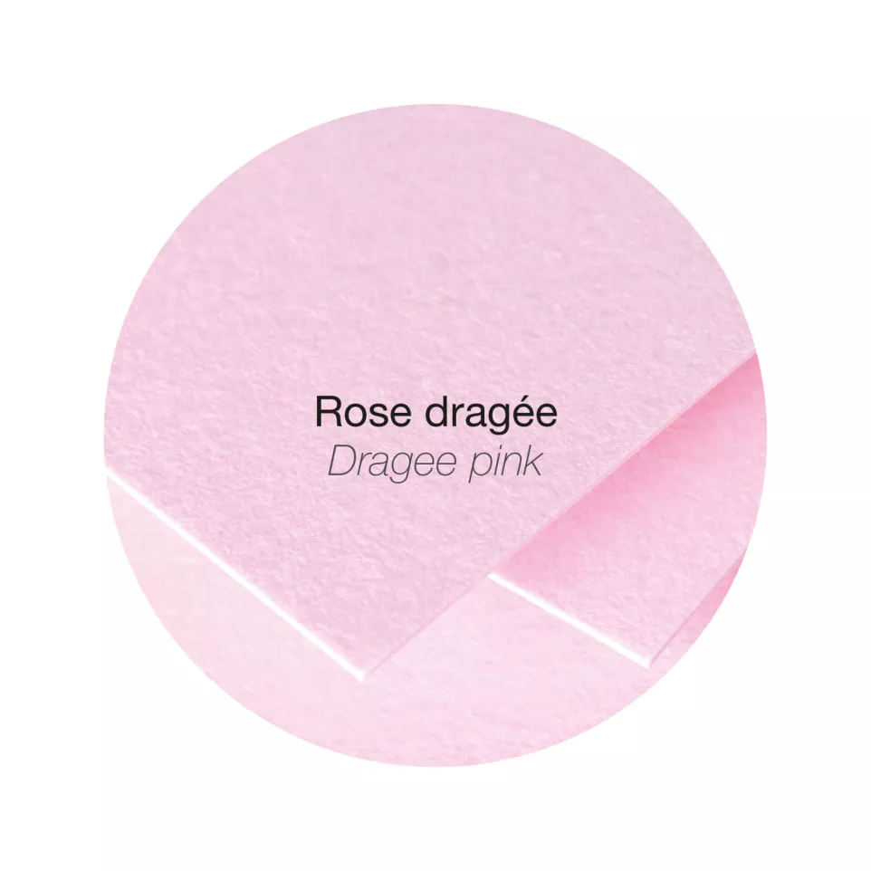 Etui 50B Pollen 210x-297 160g roze...