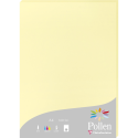Etui de 50 feuilles Pollen 210x297mm 160g/m2/ Pce