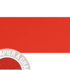 Paquet de 5 cartes simples...