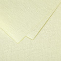 Amphora 105x210mm Grain de Pollen Card, 210g/ Pc.