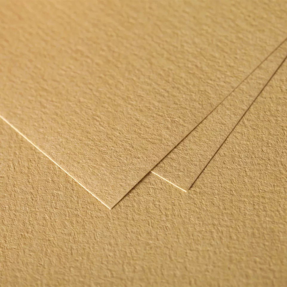 Paquet de 5 cartes simples Grain de...