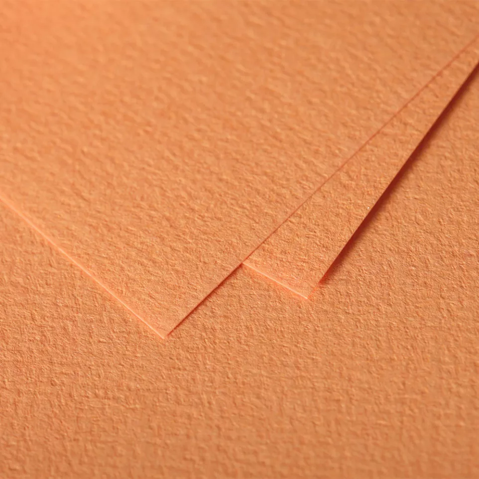 Paquet de 5 cartes simples Grain de...