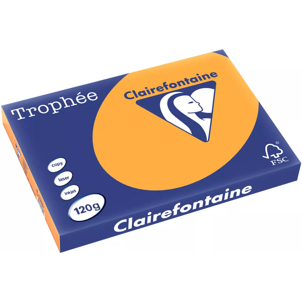 TROPHEE PASTEL A3 120G RAM 250F C.5/ Pce