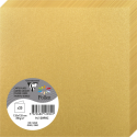 Pollen pk25 dubb.krt- 210g 135x135 goud/ St.
