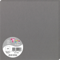Paquet de 25 cartes simples Pollen 160x160mm 210g/m2/ Pce