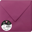 Pollen Envelopes x20, 165x165/ Pc.