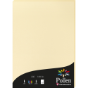 Etui de 50 feuilles Pollen 210x297mm 120g/m2/ Pce