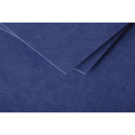 Pollen pk 25 kaart 2-10g158x222 do.blauw/ St.