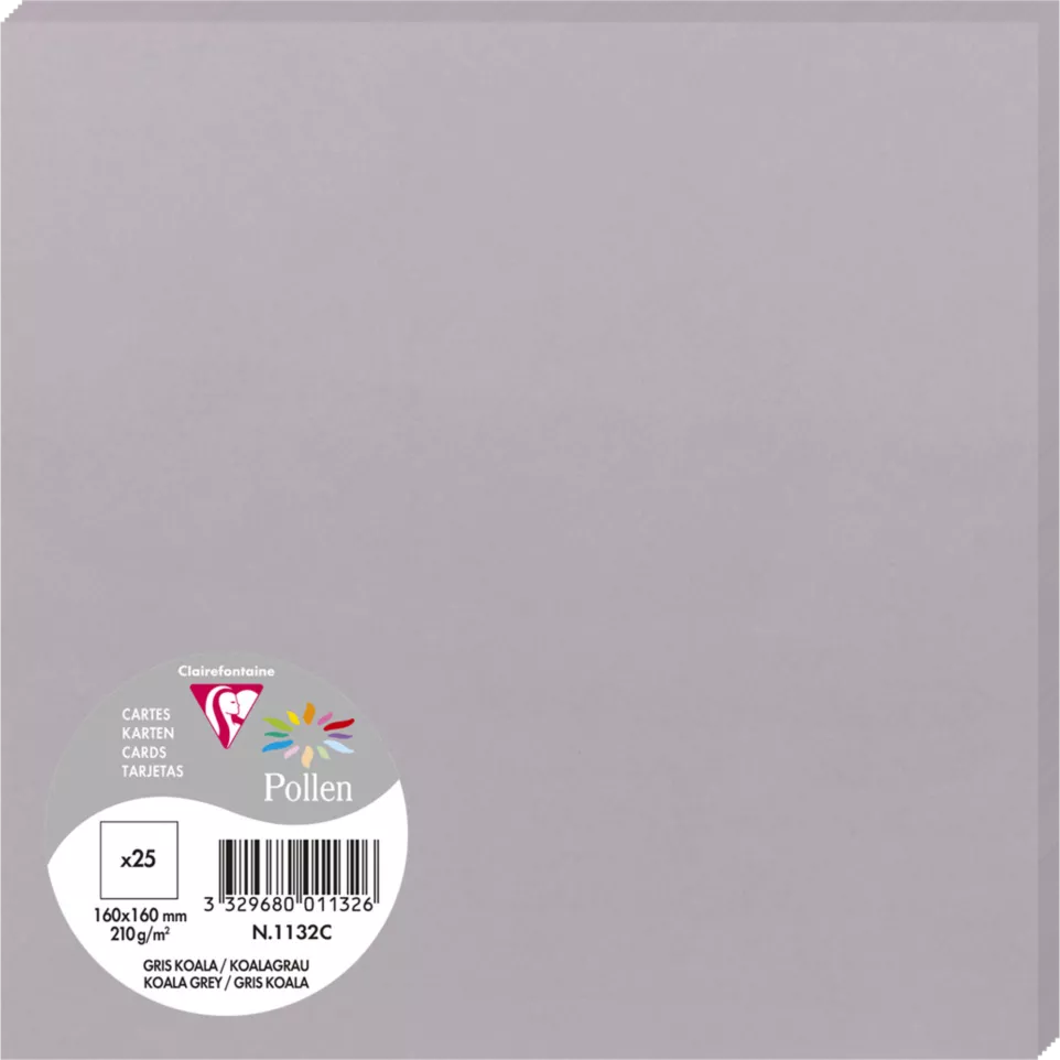 Pk 25 kaart 160x160-210g koala grijs/...