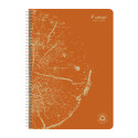 Clairefontaine Forever Wire bound Notebook A4 90g, Lined/ Pc.