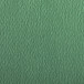 Etival Color  250 bl- 50x65cm donkergroen/ St.