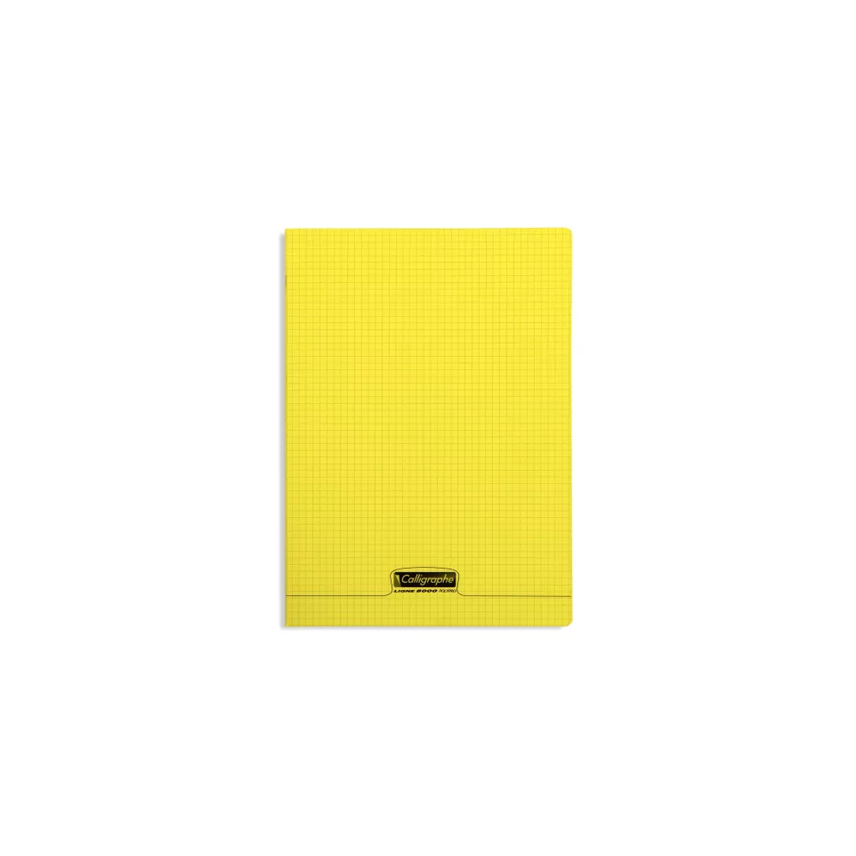 8000 PP Schrift  A4-48bl 90g Q5x5...