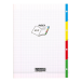 Cahier 4 index piqué 8000 POLYPRO 24x32 cm 140 pages grands carreaux 90 g/ Pce