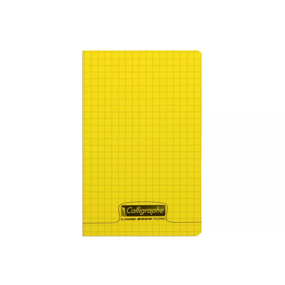 8000 PP Notaboek11x17 48bl 90g Q5x5-/...
