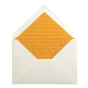 JH 15 kaarten+15 env-eloppes C6 amber/ St.