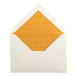 JH 15 kaarten+15 env-eloppes C6 amber/ St.