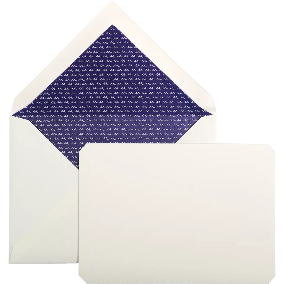 Jacques Herbin 15 Cards & Envelopes...