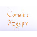 Inkt 1798 Cornaline d'Egypte 50ml-/ St.