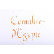 Inkt 1798 Cornaline d'Egypte 50ml-/ St.