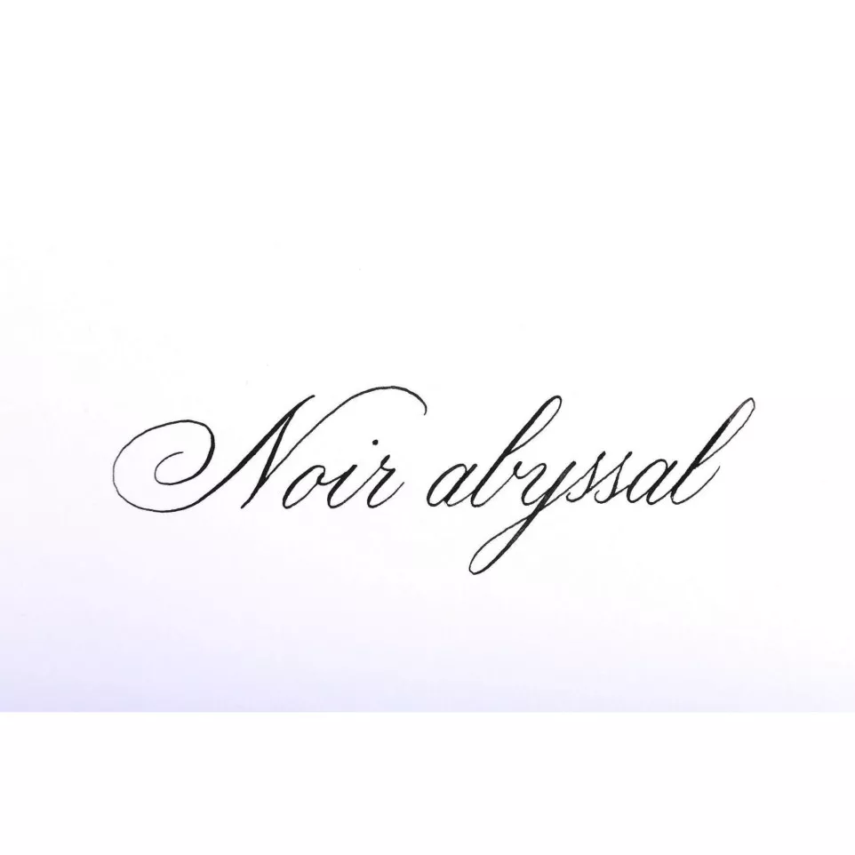 Inktpatronen ESSENTI-ELLES Noir...