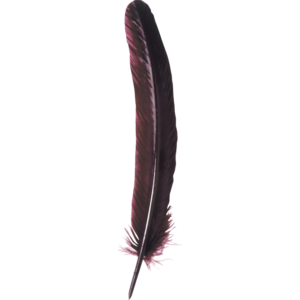 Ganzenveer 28cm bordeaux-/ St.